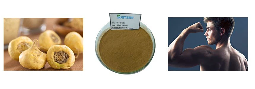 maca powder maca powder