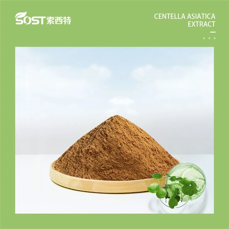 Centella Asiatica L Extract