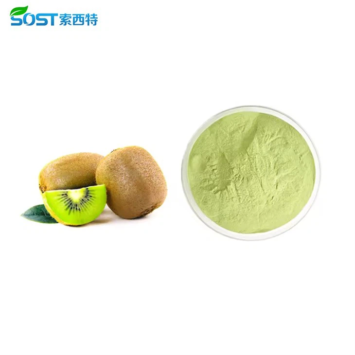 Kiwi Fruit Juice Powder2