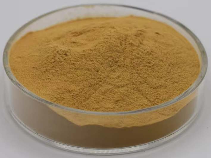 product-709-532