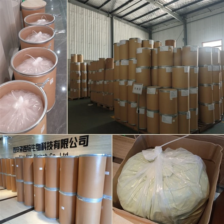 Enoki Mushroom Powder high quality